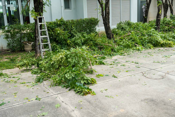 Mulching Services in Masury, OH